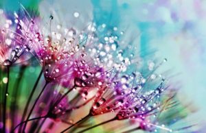 Llegan las lámparas vegetales: el futuro de la iluminación sostenible